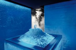 FRIMAS ice steam room