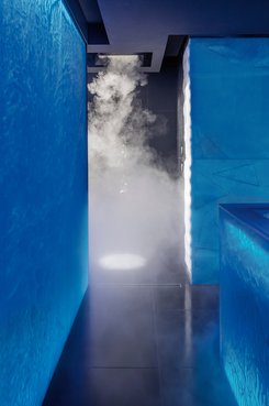 HOLLI ice steam shower