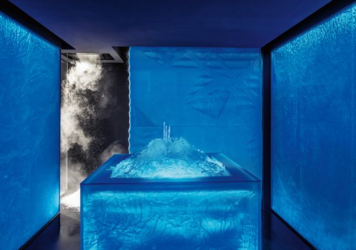 FRIMAS ice steam room