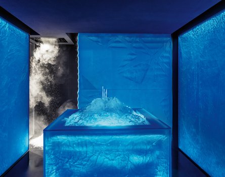 FRIMAS ice steam room