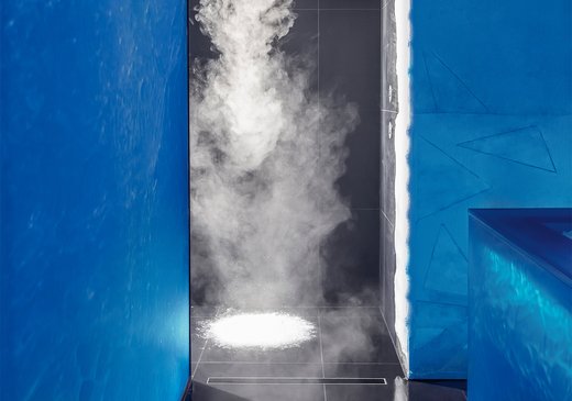 HOLLI ice steam shower