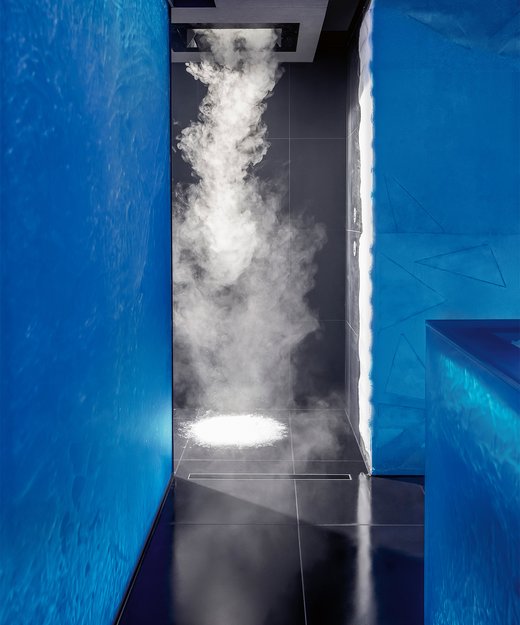 HOLLI ice steam shower